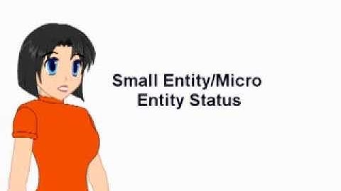 Small Entity Status and Micro Entity Status