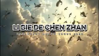 LI BEI DE CHEN ZHAN BREAKBEAT 2025  RMX HENYM VENUS MANDARIN