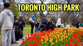 Exploring High Park Toronto 🇨🇦 in 4K 2026 Walking Tour