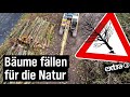 Realer Irrsinn: Guter Baum oder schlechter Baum? Ordnung schaffen in der Natur von Duisburg | extra