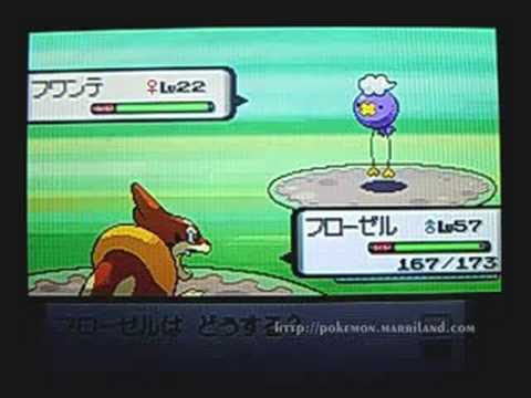 Pokemon Diamond Pearl Jp Where To Find Drifloon Youtube