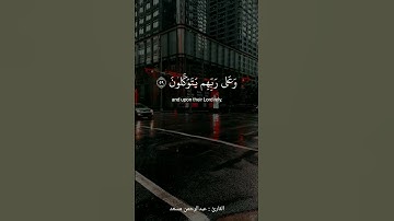 الذين صبروا وعلى ربهم يتوكلون || عبد الرحمن _سورة العنكبوت