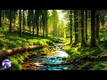 Ultra relaxing music to calm the mind, stop thinking 🌿 music for sleep, soul and body