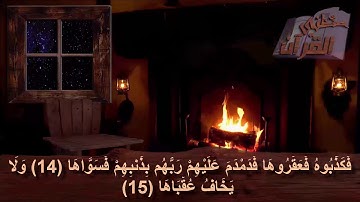سورة الشمس  _   الآية _  14 +  15