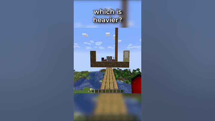 Which is Heavier?