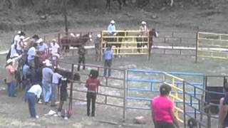 Rodeo chalma 2/18 mayo 2013