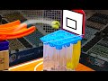 Quadrilla Marble Run Tournament E3 - Marble Basketball - by Fubeca's Marble Runs