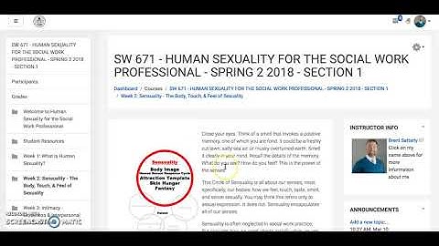 671 Week 2 - Assignment Descriptions