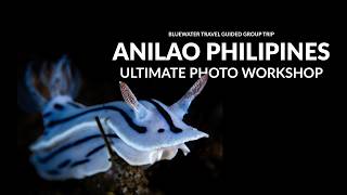 Anilao Philippines Ultimate Photo Workshop | Guided Group Trip 📸