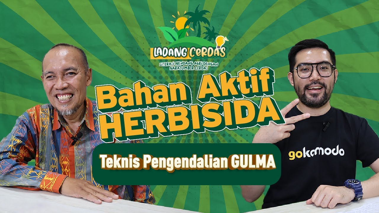 Bahas lengkap bahan aktif herbisida, teknis pengendalian gulma dan tips menghindari resistensi