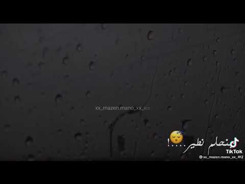 حالات واتس بنحلم نطير حماده هلال