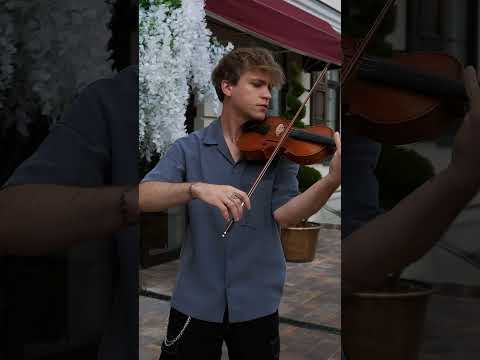 Hijo De La Luna Zotov Violin Cover 