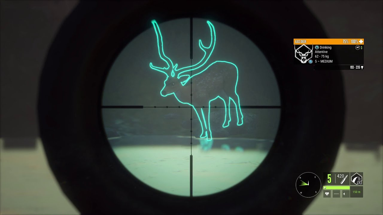 Parque Fernando hunt. With a diamond axis deer YouTube