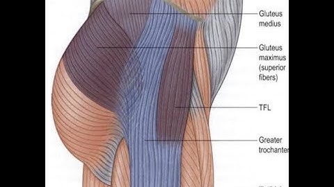 Hip abduction exercises: Gluteus medius, gluteus minimus, tensor fascia latae