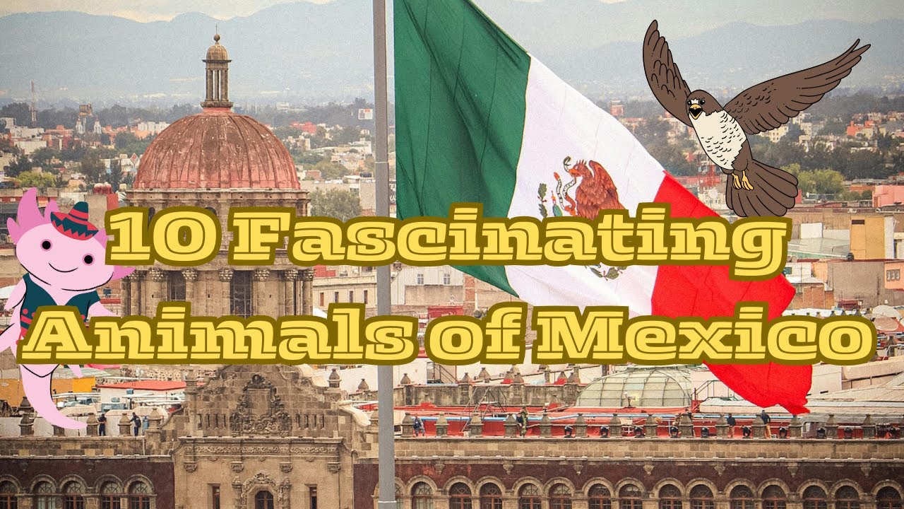 10 Incredible Animals That Call Mexico Home
