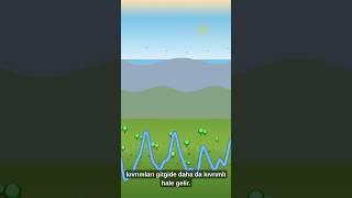 Nehirler Neden Kıvrılır? 🌍Doğanın Gizli Akışı 🌿💧