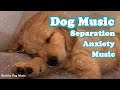 Play it if your dog is bored healing music for dogs music for dogs separation anxiety music