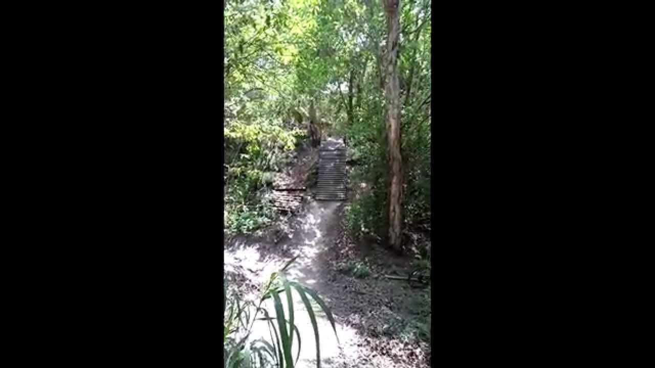 Markham Park - Alligator Alley ramp - YouTube