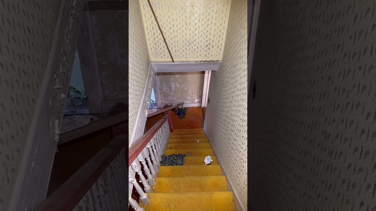 We found a squatters abandoned house… 