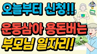 (속보)오늘부터 2022년 부모님 일자리 신청하세요!! 하루 3시간만 일하고 용돈 버세요.
