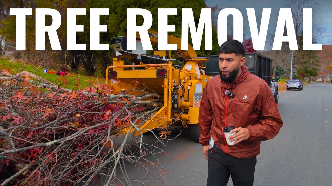 This Tree Removal Job Got SERIOUS... - YouTube