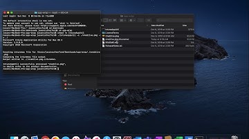 Intune Apps for MacOS