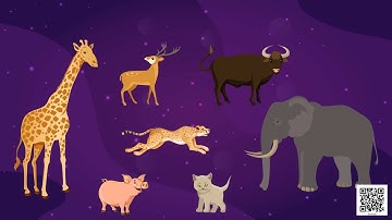 Class 4 EVS Chapter 2 Ear to Ear cbse ncert Environmental Studies Looking Around