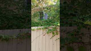 Природа🌿🍃Кудепста в красоте природы 🍃💥🖐😊Приятного просмотра! 🌹