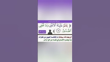 سورة غافر اية (١٩)