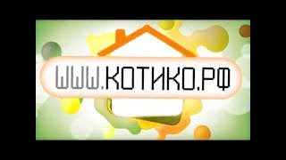 Интернет магазин зоотоваров КоТиКо.рф Интернет магазин зоотоваров КоТиКо.рф