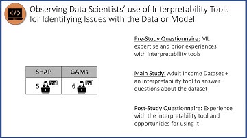 Interpreting Interpretability: Understanding Data Scientists