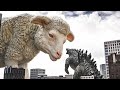 Giant Sheep Terrifies Godzilla