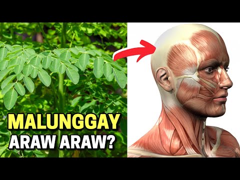 Video: Pag-tap sa Iba't ibang Puno Para sa Syrup - Paano Gumawa ng Syrup Mula sa Ibang Puno