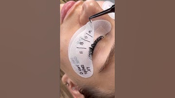 WET VOLUME LASHES ✨
