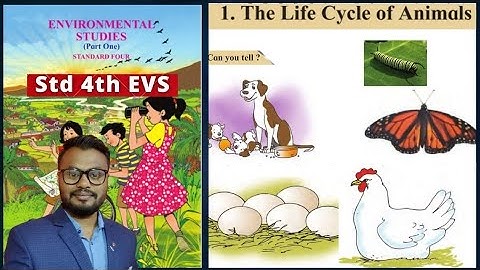 Lesson 1 The Life Cycle of Animals, Class 4 Evs, Student point academy, Maharashtra Board