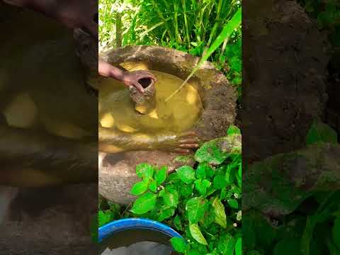 Making BioGas from Cow Dung🐄🐄🐄 #shorts