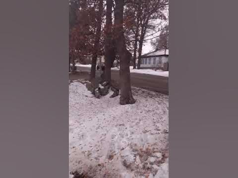 Каракол Шаары Гебзе кочосу Тротуар жок - YouTube