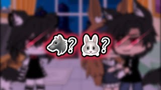 🐰 || rabbit or wolf || 🐺 {gacha meme} version 2!