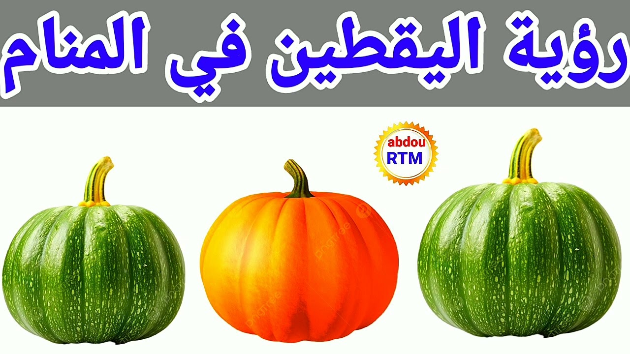 رؤية اليقطين في المنام // تفسير رؤية اليقطين في المنام بالتفصيل .