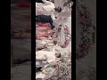Latest Wedding Reel | Manohar Studio |#trendingshorts #trending #viralvideo #wedding #bridal #love