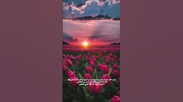 سورة القارعة(الشيخ ماهر المعيقلي)Surah Al-Qara'a