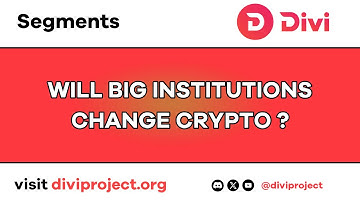 Divi Segments - WILL BIG INSTITUTIONS CHANGE CRYPTO?