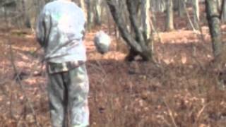 Knocking down bee hives