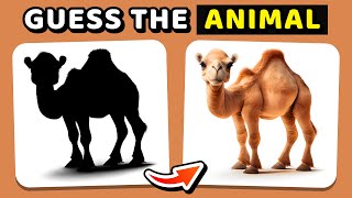 Can YOU Guess the ANIMAL by the Silhouette? | Guess the ANIMAL by its Shadow