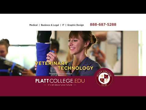 Platt College Anaheim is right for you!