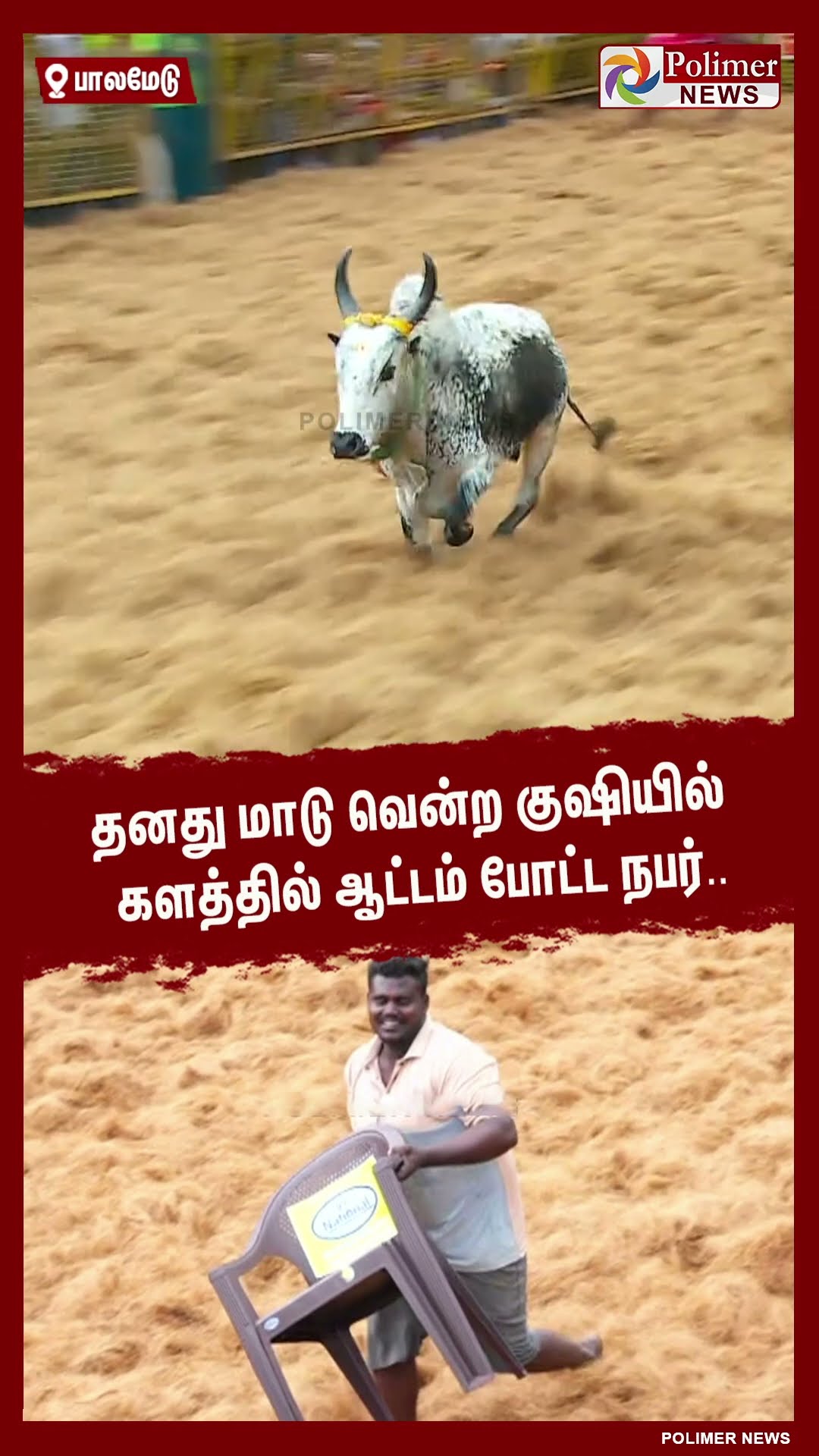 தனது மாடு வென்ற குஷியில் களத்தில் ஆட்டம் போட்டு நபர்.. #shorts | #palamedujallikattu