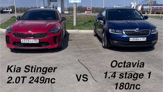 KIA STINGER 2.0t 247ЛС VS SKODA OCTAVIA 1.4 stage 1 180ЛС