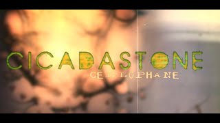 Cicadastone - Cellophane (Official Lyric Video)