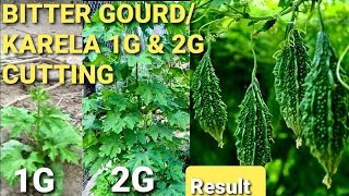 Bitter Gourd 3G Cutting | Karela Ki 3G Cutting | Karela 3G Cutting | 3G Cutting Karela screenshot 2