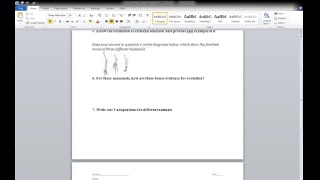 Evolution quiz ReviewQ & A